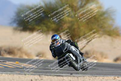 media/Jan-14-2024-SoCal Trackdays (Sun) [[2e55ec21a6]]/Turn 4 Tree of Life (155pm)/